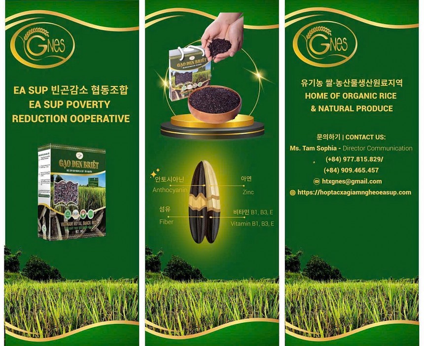 Cuối tháng 10, HTX vừa hoàn tất thiết kế bao bì bằng tiếng Hàn, sẵn sàng cạnh tranh sòng phẳng tại thị trường phát triển mạnh, năng động bậc nhất khu vực châu Á