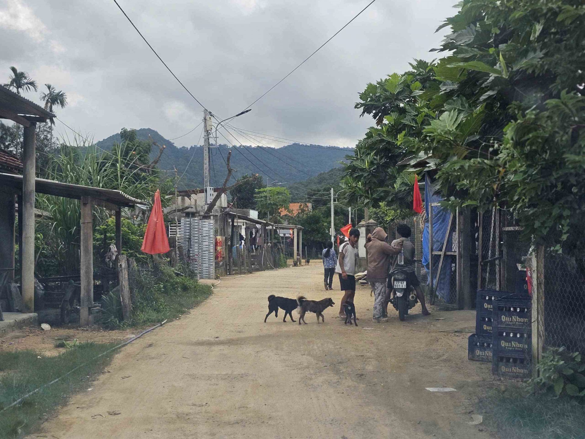 Gia Lai: Đường về làng Canh Tiến không còn xa sau bao năm chờ đợi