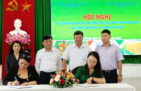 ket noi giao thuong lam dong tp hue mo rong thi truong lan toa gia tri ocop