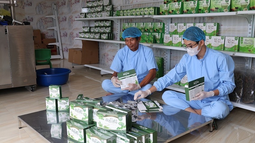 Rau má Thọ Long mở lối đi mới cho nông sản xứ Thanh Rau má Thọ Long mở lối đi mới cho nông sản xứ Thanh