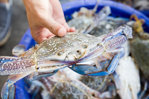 ngu dan ha tinh trung dam ghe bien sau mua lu
