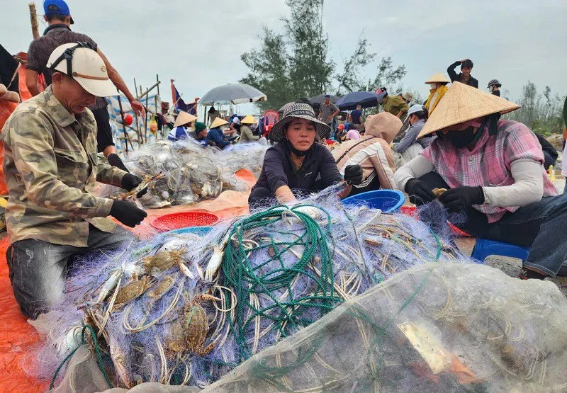 Văn Chương Văn Chương