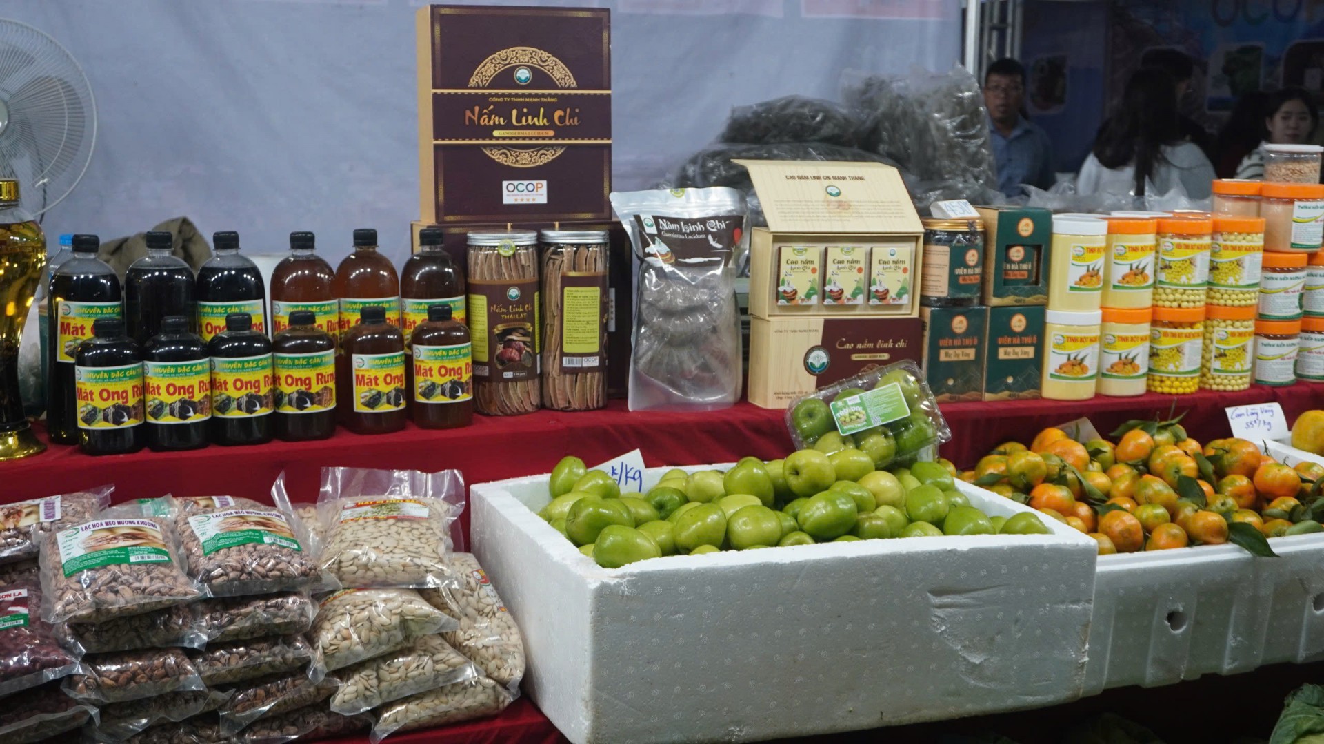 Khám phá hàng ngàn đặc sản 3 miền tại Hội chợ AgroViet 2025 Khám phá hàng ngàn đặc sản 3 miền tại Hội chợ AgroViet 2025