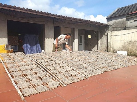 hai phong thuc day phat trien lang nghe gan voi phat trien du lich