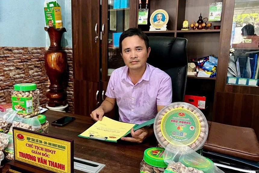 Hạt điều Như Hoàng - Từ trăn trở mùa vụ đến thương hiệu OCOP Hạt điều Như Hoàng Từ trăn trở mùa vụ đến thương hi