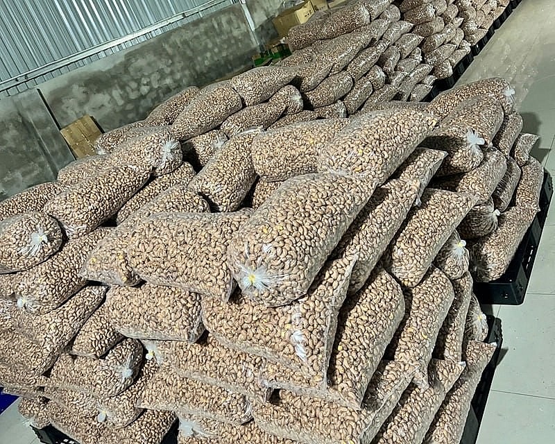 Hạt điều Như Hoàng - Từ trăn trở mùa vụ đến thương hiệu OCOP Hạt điều Như Hoàng Từ trăn trở mùa vụ đến thương hi