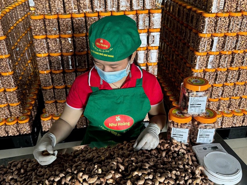 Hạt điều Như Hoàng - Từ trăn trở mùa vụ đến thương hiệu OCOP Hạt điều Như Hoàng Từ trăn trở mùa vụ đến thương hi