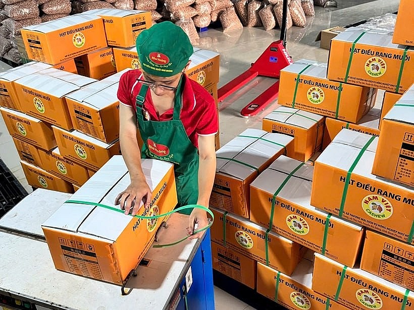 Hạt điều Như Hoàng - Từ trăn trở mùa vụ đến thương hiệu OCOP Hạt điều Như Hoàng Từ trăn trở mùa vụ đến thương hi