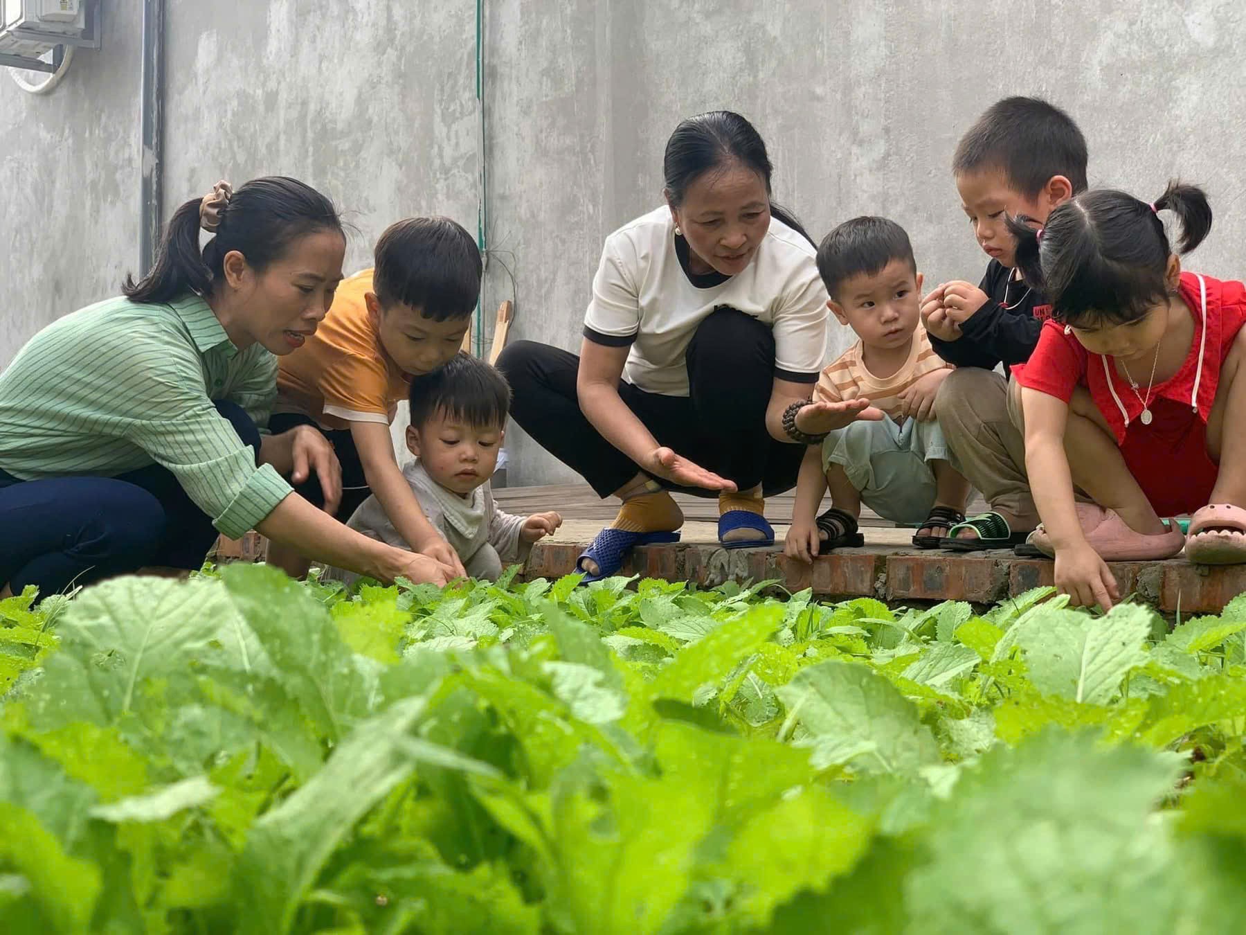 Cơ sở giáo dục mầm non Ngôi Sao Nhỏ: Không ngừng nỗ lực vì môi trường học tập hiện đại, an toàn và hạnh phúc cho trẻ Cơ sở giáo dục mầm non Ngôi Sao Nhỏ: Không ngừng nỗ lực vì môi trường học tập hiện đại, an toàn và hạnh phúc cho trẻ