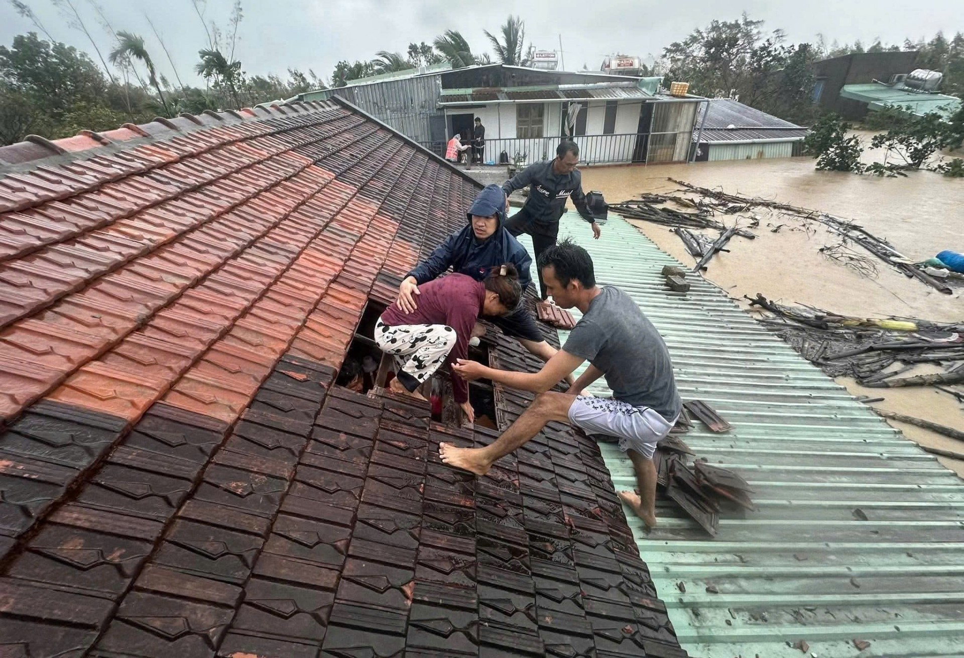 Cán bộ và Nhân dân Gia Lai oằn mình chống trận lũ lịch sử Cán bộ và Nhân dân Gia Lai oằn mình chống trận lũ lịch sử