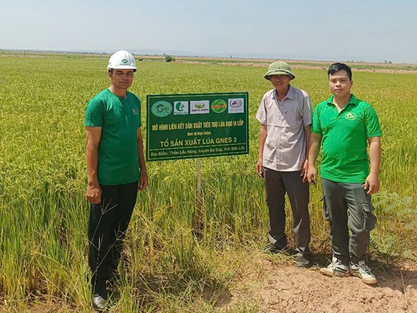 Những thành tựu đạt được minh chứng cho hiệu quả của mô hình kinh tế cộng sinh GNES đang xây dựng