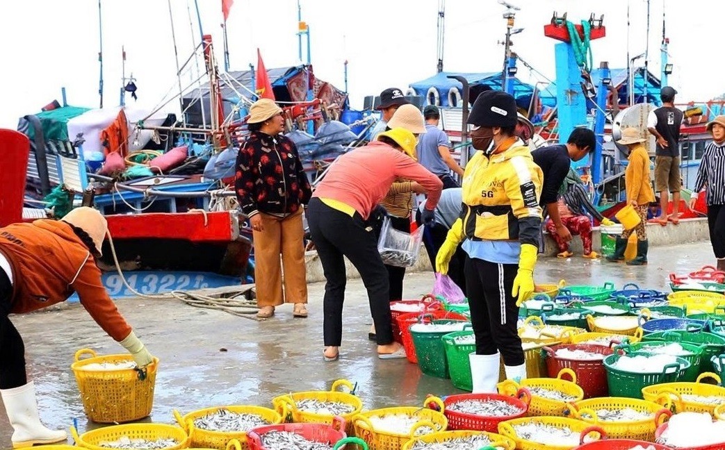 Làng ven biển Cà Ná có nghề làm nước mắm 100 năm Làng ven biển Cà Ná có nghề làm nước mắm 100 năm