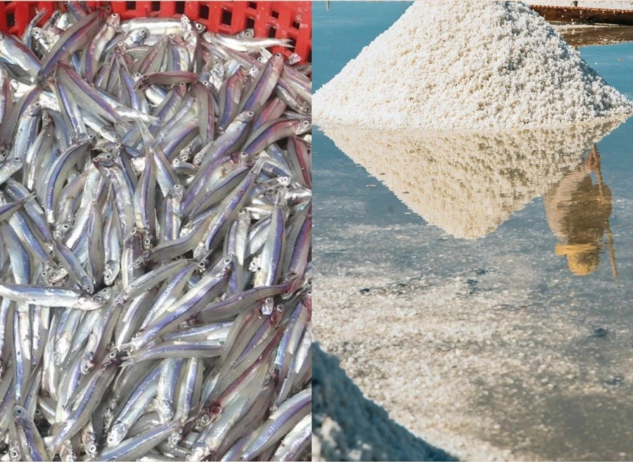 Cần phải khai thác, quản lý và phát triển Nhãn hiệu chứng nhận “Nước Mắm Since 1940 Cà Ná FISH SAUCE Thơm Ngon - Tinh Khiết Cần phải khai thác, quản lý và phát triển Nhãn hiệu chứng nhận “Nước Mắm Since 1940 Cà Ná FISH SAUCE Thơm Ngon - Tinh Khiết