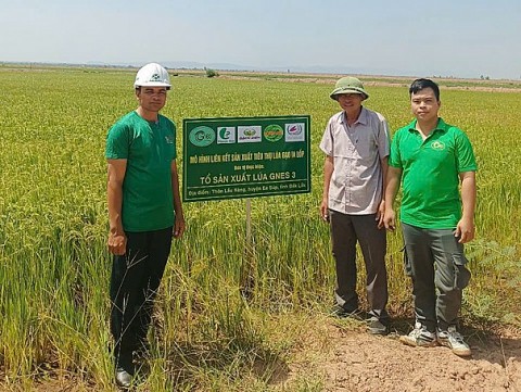 hop tac xa giam ngheo ea sup vuot kho khang dinh thuong hieu gao huu co tay nguyen