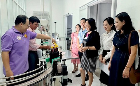 an giang nghiem thu de an ho tro ung dung may moc tien tien vao san xuat nuoc mam