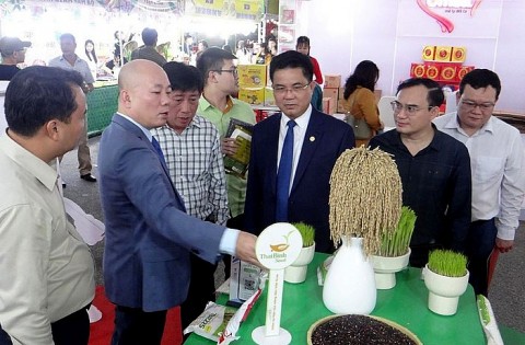 nang tang thuong hieu hang hoa tai hoi cho khu vuc dong bang bac bo 2025