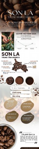 infographic son la thu phu arabica cua viet nam