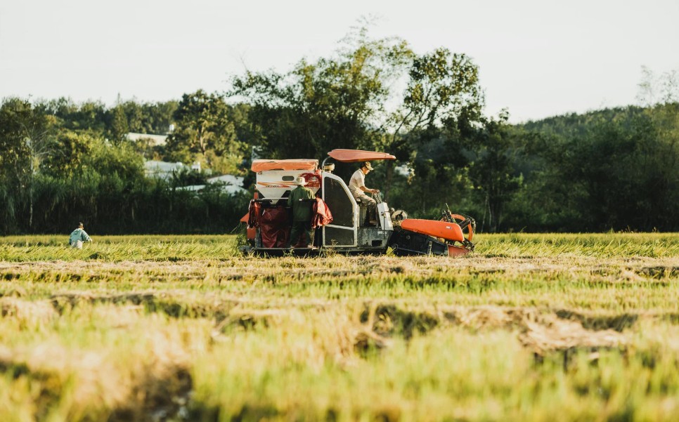 Nâng cao sức khỏe đất phục vụ nông nghiệp bền vững ở Đồng bằng sông Cửu Long