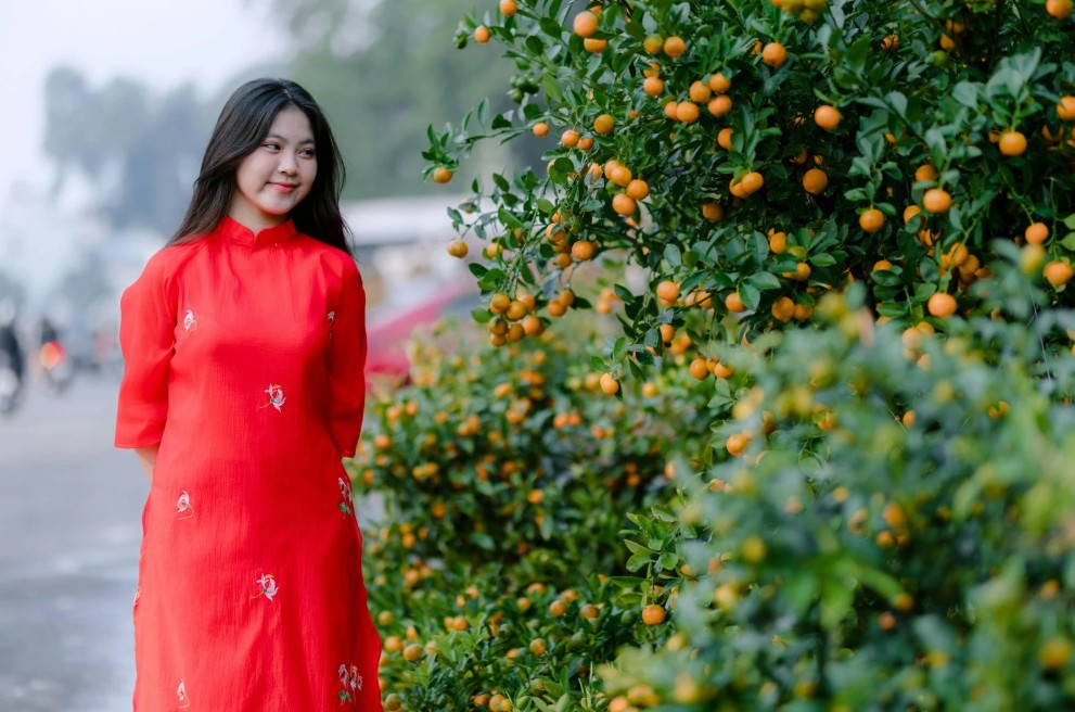 Các làng nghề ở Hợp Tiến vào vụ quất cảnh tết