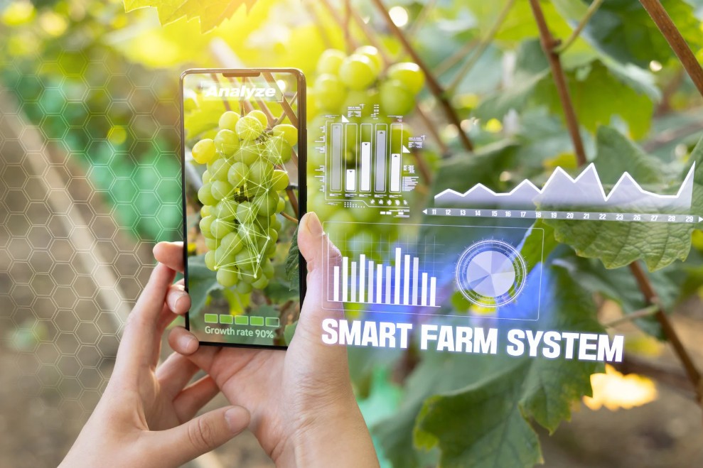 Bắc Ninh hướng tới nông thôn mới hiện đại từ nền tảng chuyển đổi số