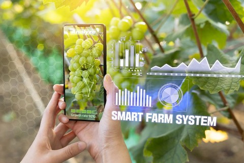 bac ninh huong toi nong thon moi hien dai tu nen tang chuyen doi so