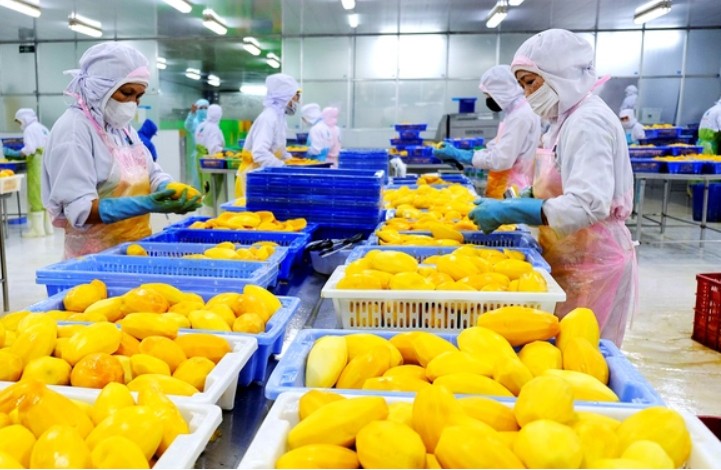 Đồng Tháp: Nông thôn mới từ nền tảng hợp lực và đồng thuận