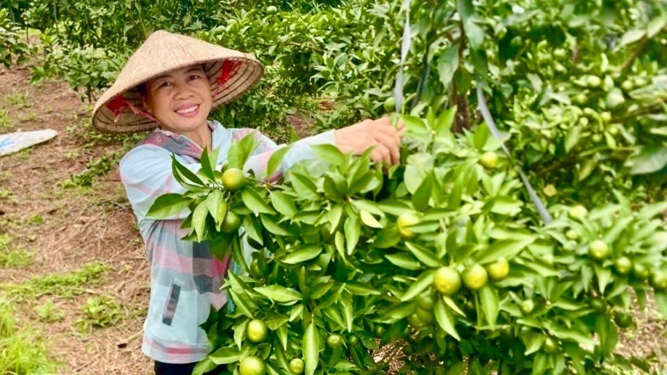 Nghĩa Tâm bứt phá trên hành trình xây dựng nông thôn mới Nghĩa Tâm bứt phá trên hành trình xây dựng nông thôn mới