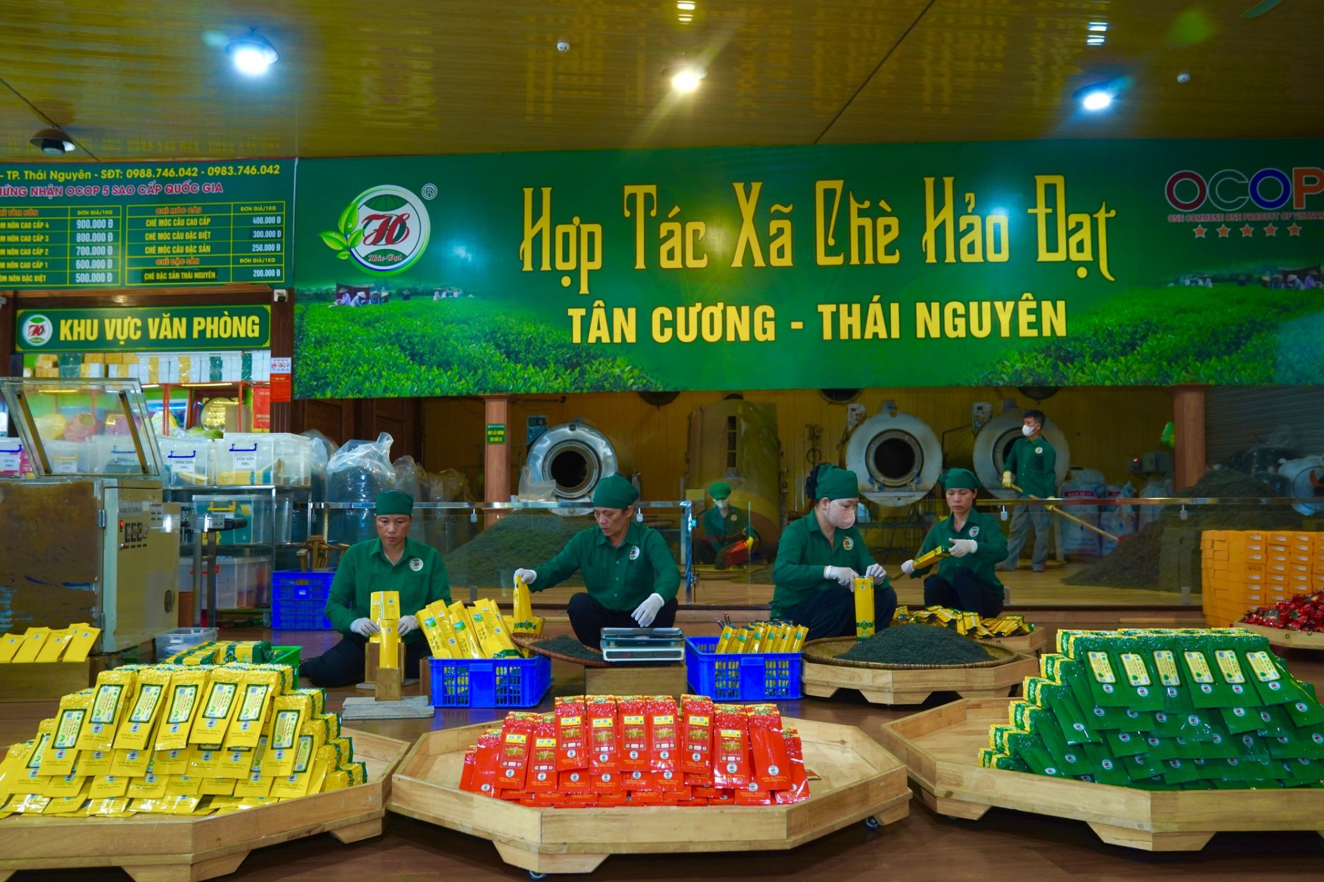 Thái Nguyên phát triển mạnh mô hình kinh tế tập thể