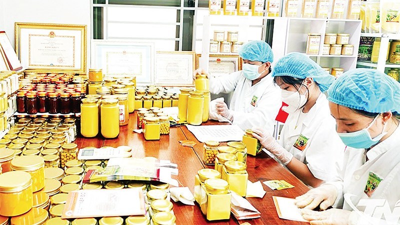 Thái Nguyên phát triển mạnh mô hình kinh tế tập thể