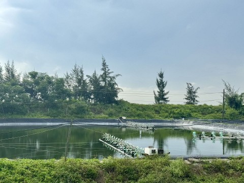 thanh hoa nhan rong mo hinh khuyen nong 2026 thuc day nong nghiep xanh