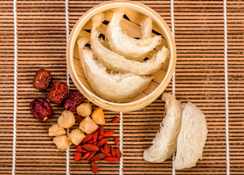 Nghề lấy yến sào ở Nha Trang