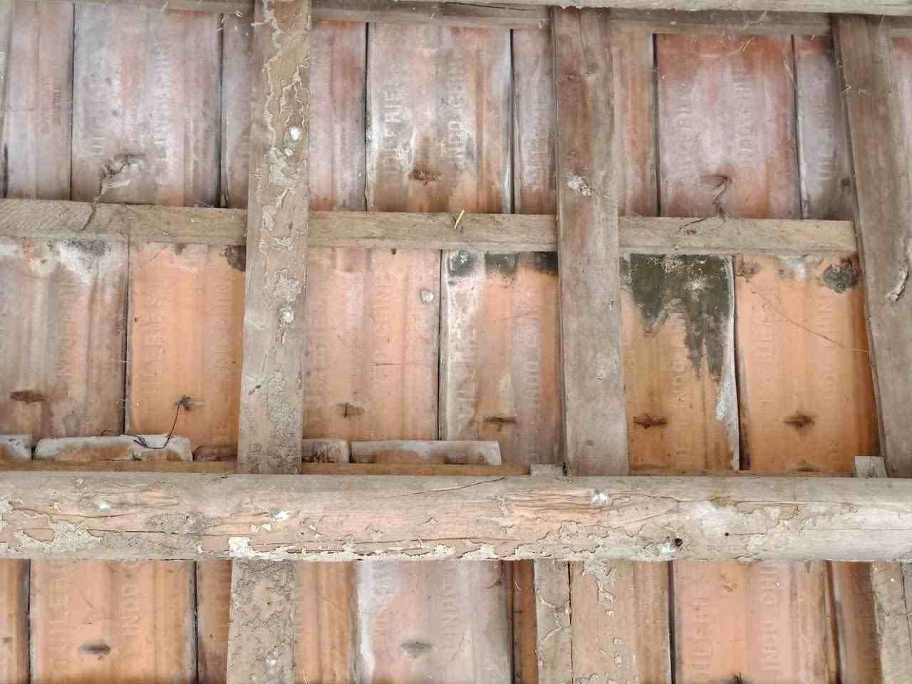 Gia Lai: Giữ lại mái đình thiêng Ngọc Thạnh trong ký ức cộng đồng làng quê Việt Gia Lai: Giữ lại mái đình thiêng Ngọc Thạnh trong ký ức cộng đồng làng quê Việt