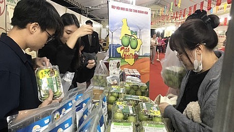 tao ninh thuan toa sang tai hoi cho dac san vung mien viet nam 2025