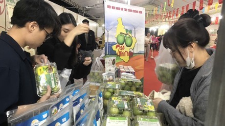 Táo Ninh Thuận tỏa sáng tại Hội chợ đặc sản vùng miền Việt Nam 2025 Táo Ninh Thuận tỏa sáng tại Hội chợ đặc sản vùng miền Việt Nam 2025