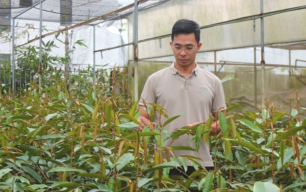 Tại phường 1 Bảo Lộc hiện có hơn 150 nông hộ làm nghề ươm cây giống, mang lại thu nhập cao Tại phường 1 Bảo Lộc hiện có hơn 150 nông hộ làm nghề ươm cây giống, mang lại thu nhập cao