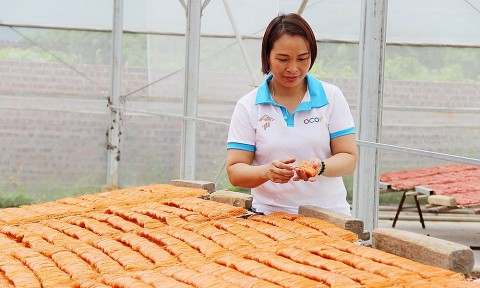 my gao chu mo rong thi truong xuat khau va nang tam gia tri lang nghe