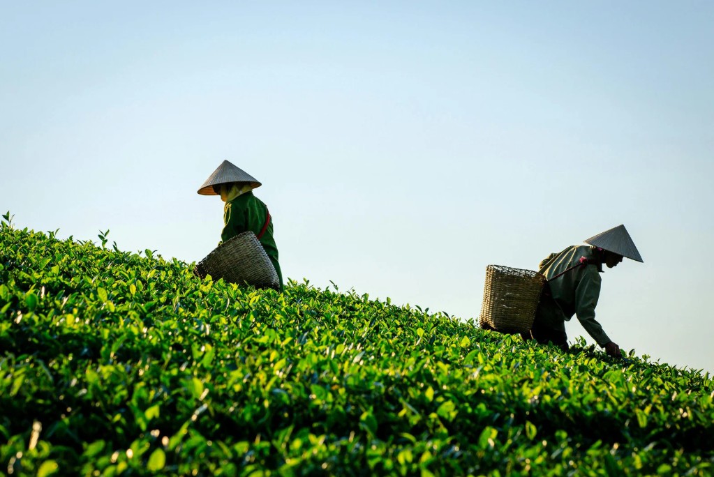 Làng nghề Thái Nguyên tìm hướng phát triển từ kinh tế sáng tạo Làng nghề Thái Nguyên tìm hướng phát triển từ kinh tế sáng tạo