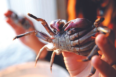 Làng nghề miền Tây vào vụ Tết Làng nghề miền Tây vào vụ Tết