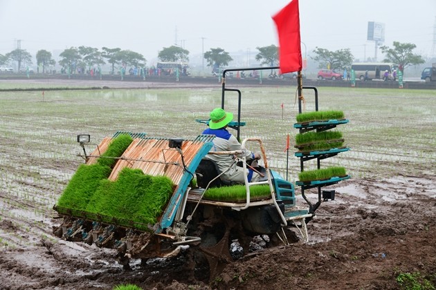 Hội thi “Cơ sở sản xuất mạ khay và vận hành máy cấy giỏi thành phố Hà Nội năm 2025”