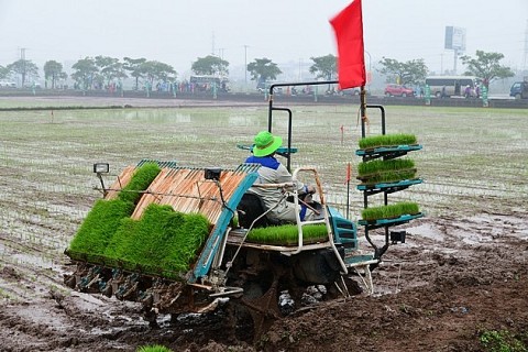 ha noi chuyen toan bo luc luong khuyen nong ve cap xa tu nam 2026
