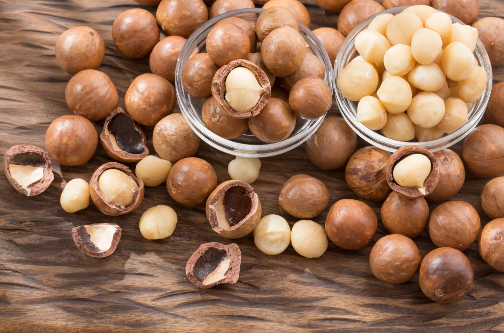 Thâm canh mắc ca VietGAP mở hướng sinh kế bền vững cho vùng biên Lâm Đồng