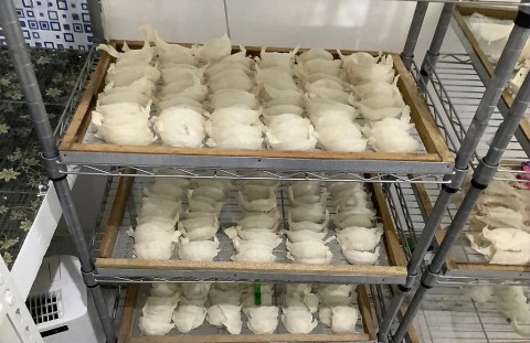 khuyen cong tao dong luc moi cho cong nghiep nong thon khanh hoa sau sap nhap