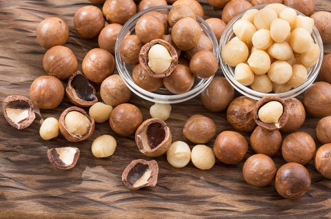 tham canh mac ca vietgap mo huong sinh ke ben vung cho vung bien lam dong