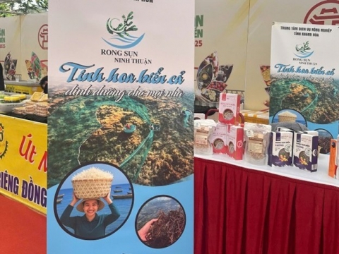 rong sun ninh thuan vien ngoc xanh toa sang giua long thu do ha noi