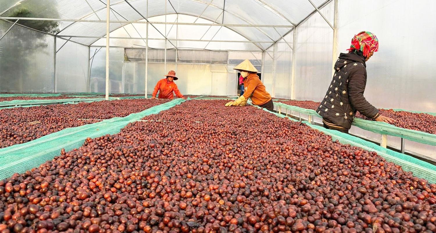 Công tác đào tạo nghề tại Khe Sanh Công tác đào tạo nghề tại Khe Sanh