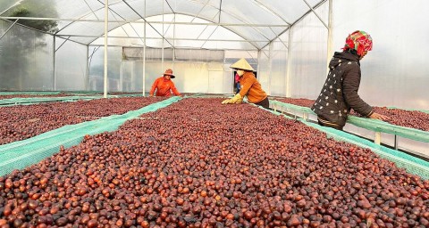 cong tac dao tao nghe tai khe sanh