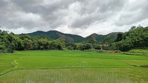 xoa doi giam ngheo tu thuc tien nhin tu cong tac ra soat ho ngheo o xa duc luong