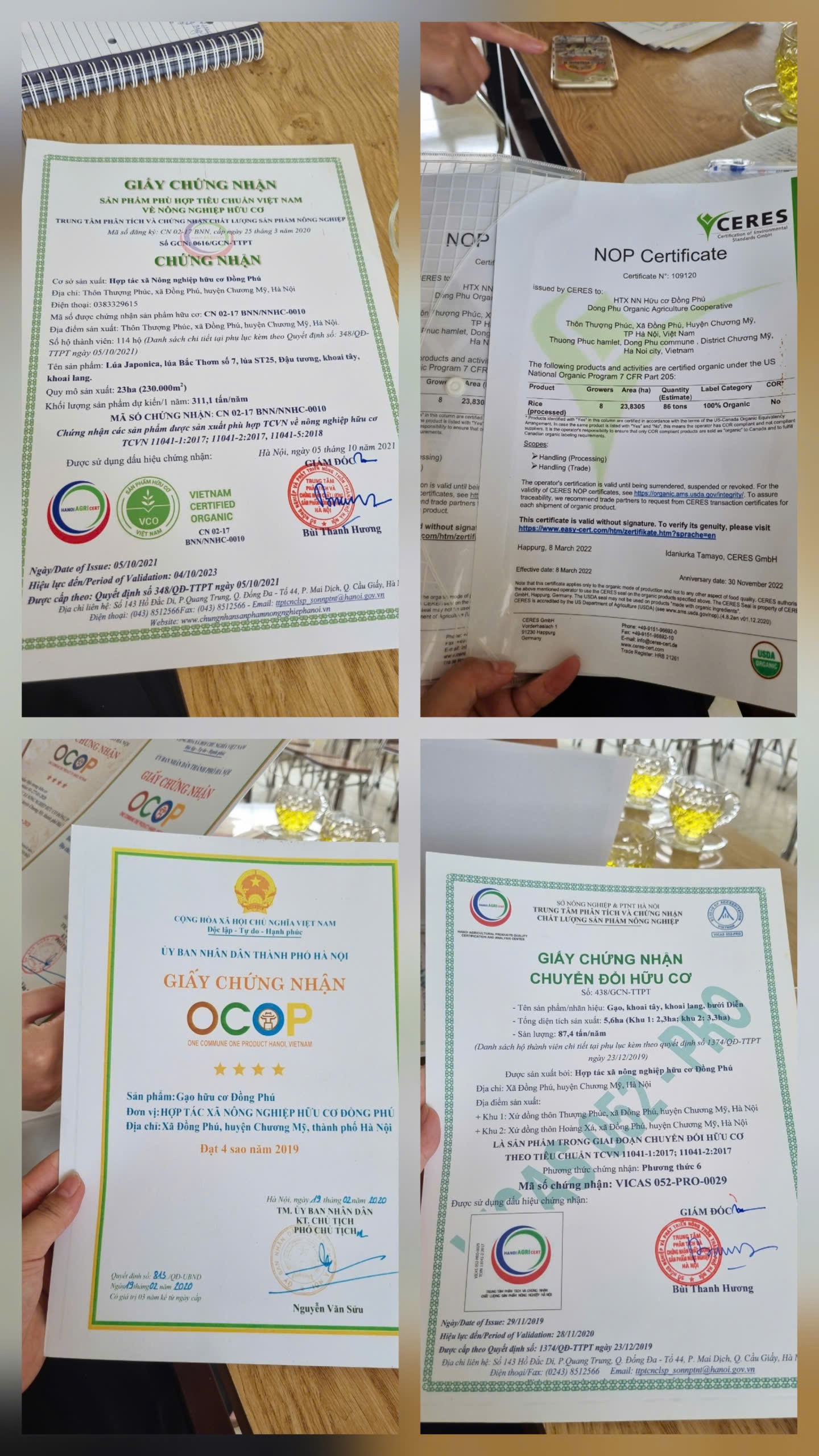 Hình ảnh một số giấy chứng nhận của sản phẩm nông nghiệp hữu cơ Đồng Phú.  
