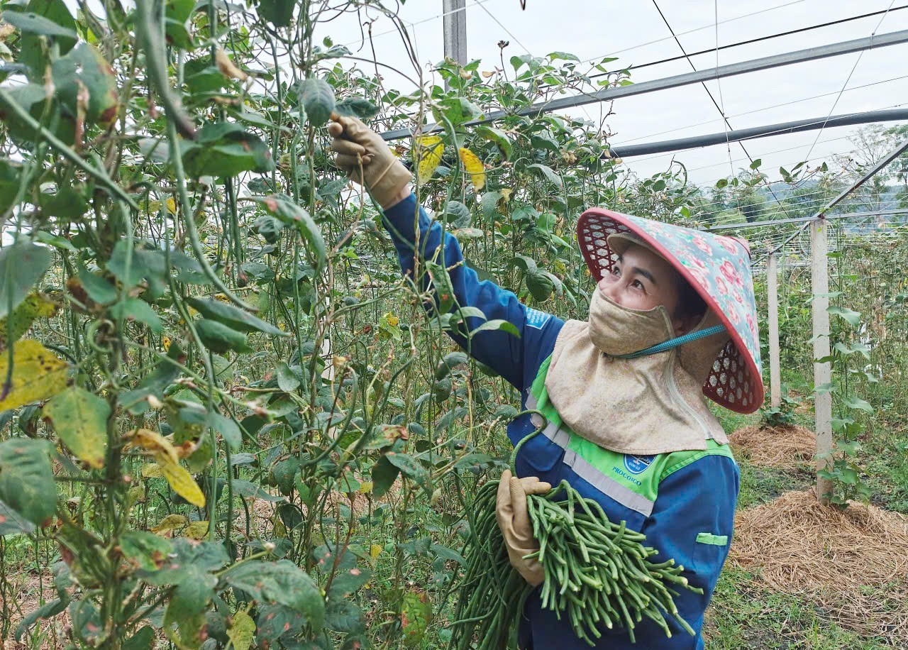 Nông dân Lào Cai chung sức xây dựng nông thôn mới