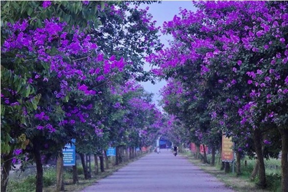 Một đường giao thông nông thôn ở xã Trần Thương